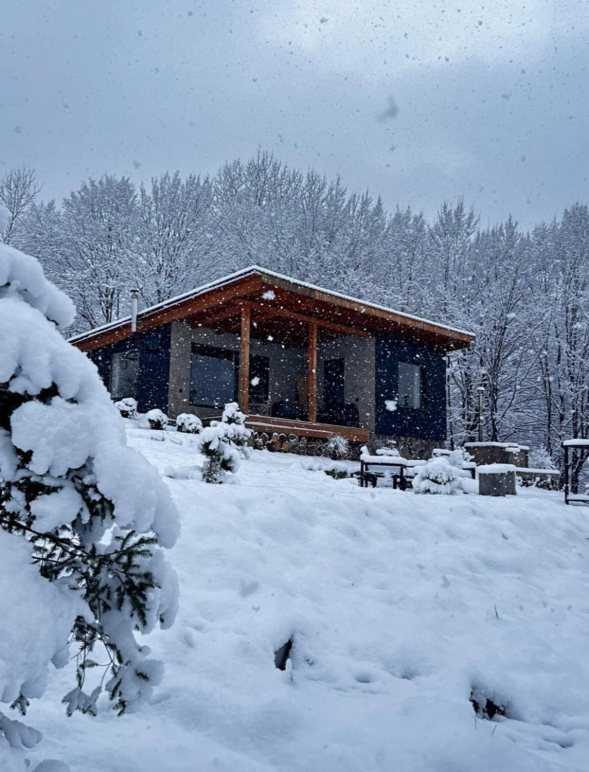 Гірські Будиночки Villa Zhdeniievo Dış mekan fotoğraf