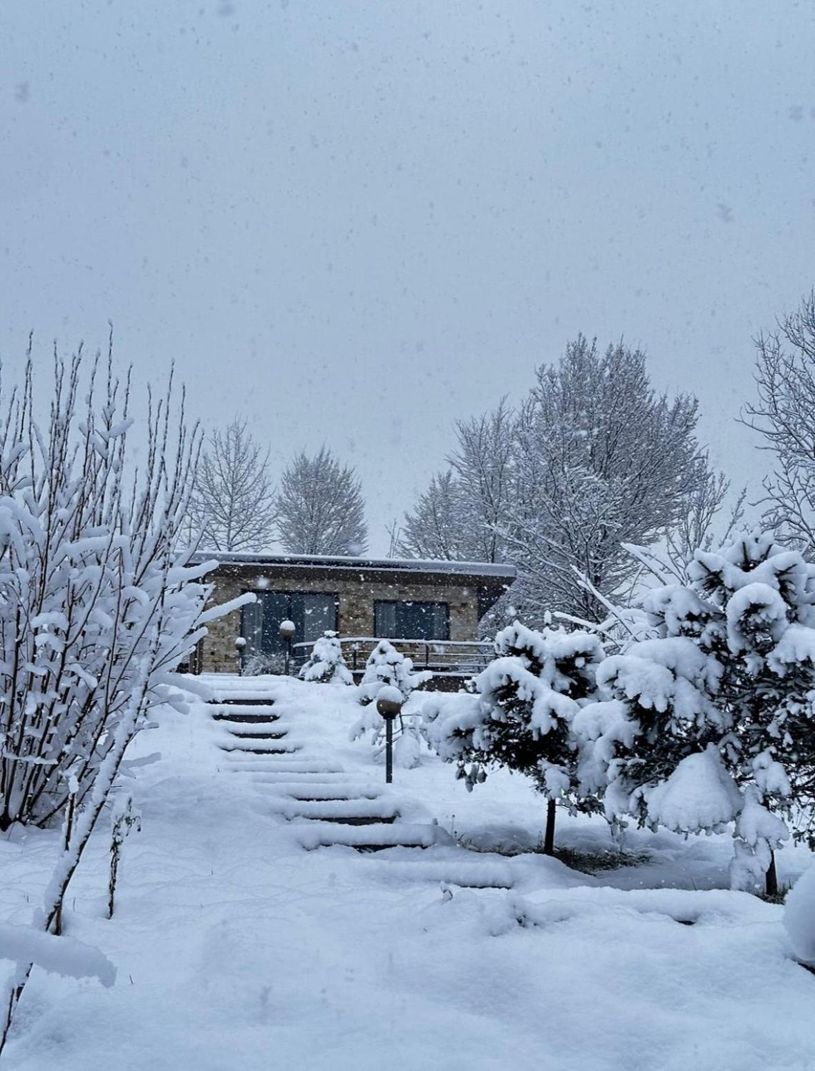 Гірські Будиночки Villa Zhdeniievo Dış mekan fotoğraf